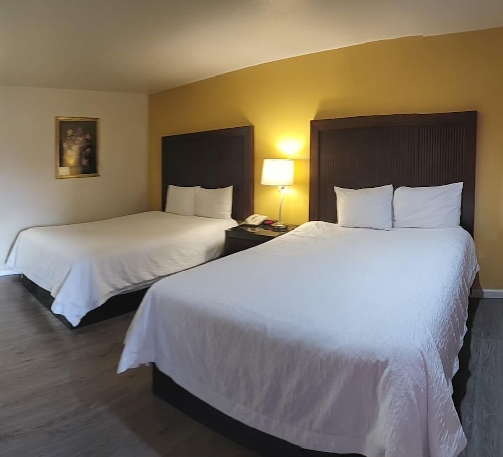 Mission Inn and Suites - photo 10