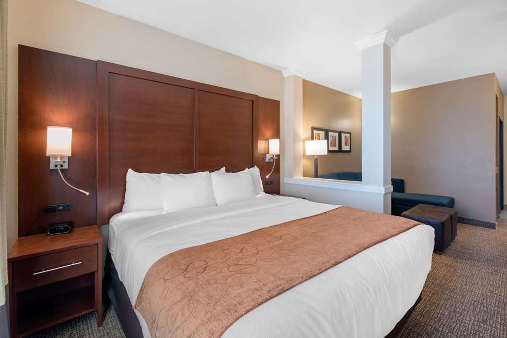 Comfort Suites Denver International Airport - photo 22