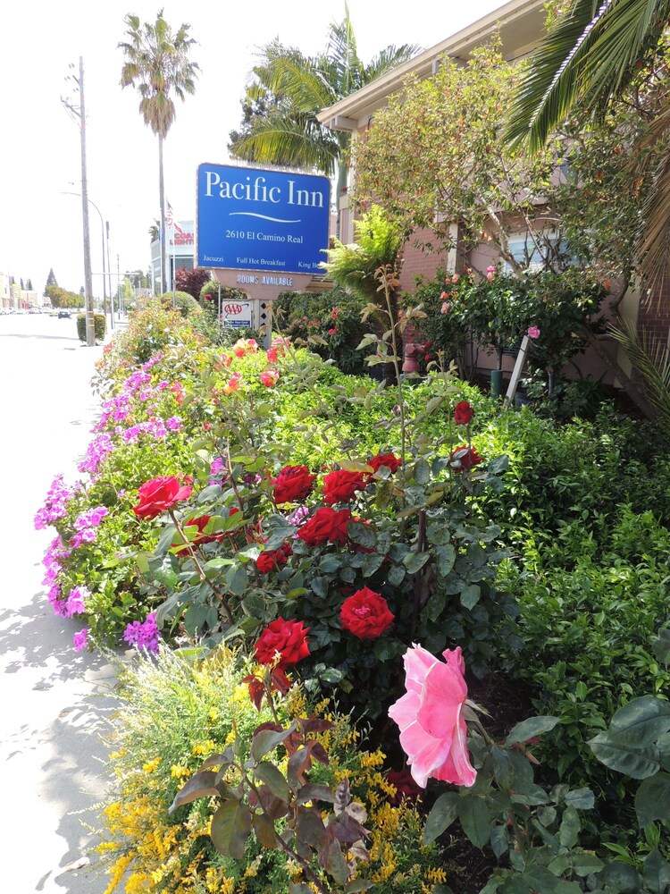 Pacific Inn of Redwood City - photo 62
