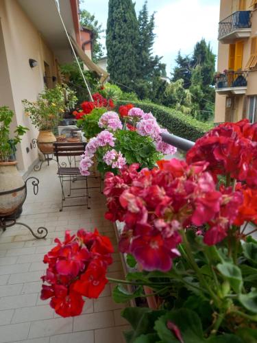 Il Balcone di Anna Nervi 65mq Bilocale — 4-Star Luxury Hotel in Genoa, Italy