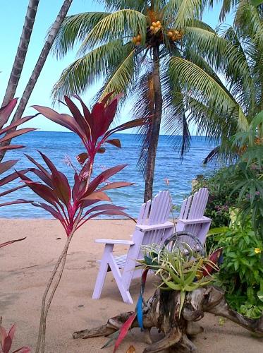 Veranda View Guesthouse — 4-Star Luxury Hotel in Calibishie, Dominica