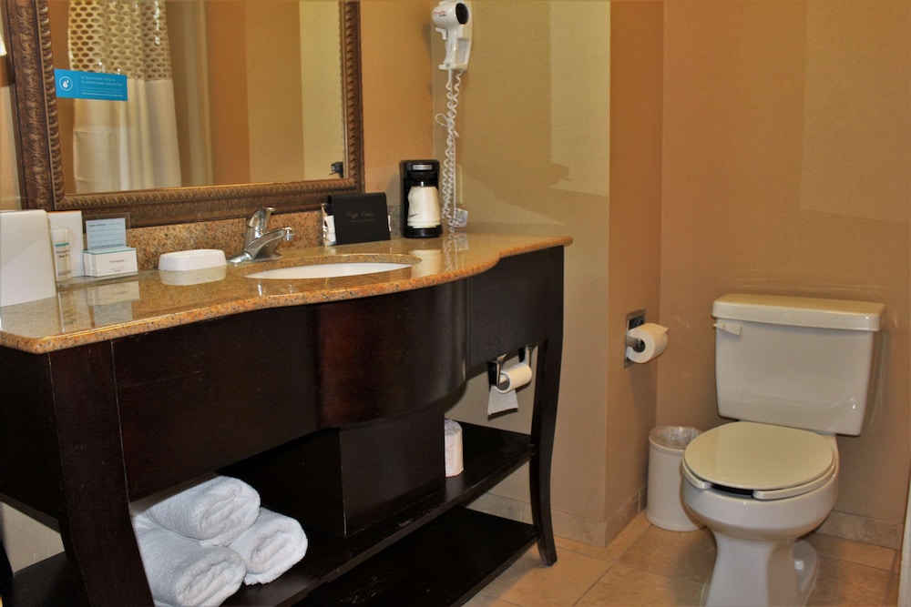 Hampton Inn Americus - photo 19