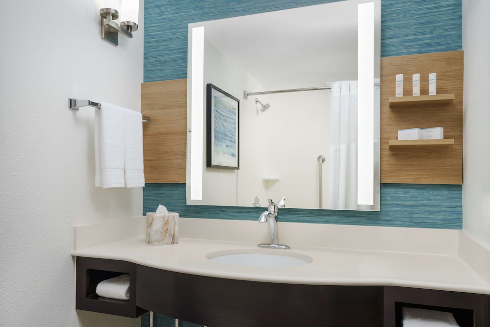 Hilton Garden Inn Orlando at SeaWorld - photo 17