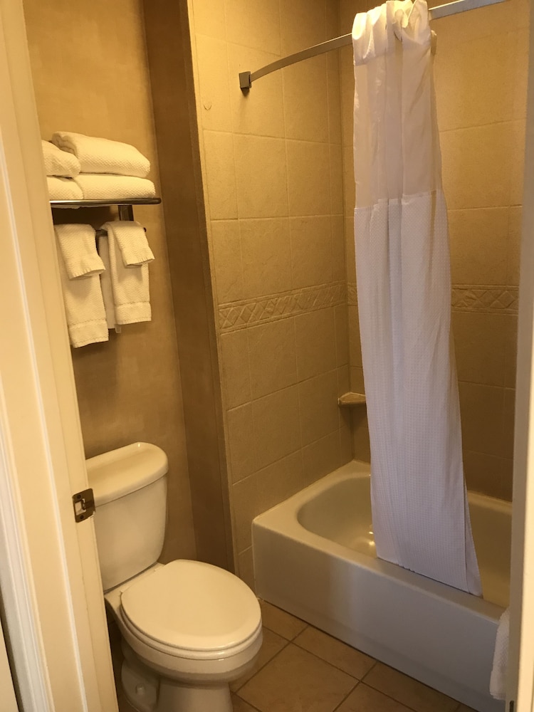 Staybridge Suites Williamsville Buffalo by IHG - photo 8