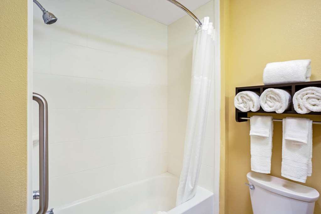 La Quinta Inn & Suites by Wyndham Pecos - photo 26