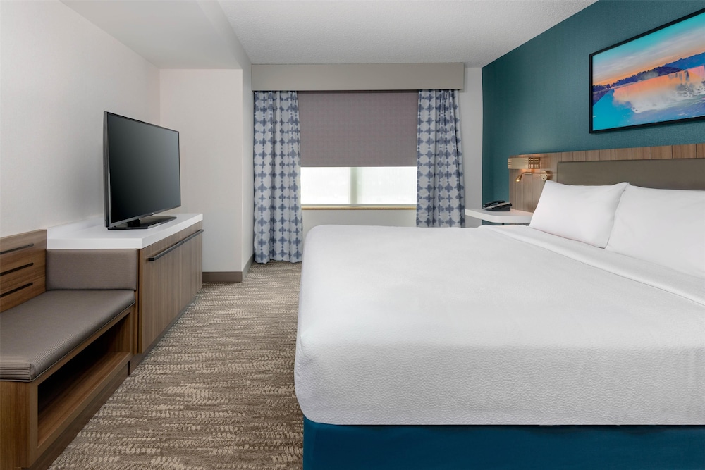 Hilton Garden Inn Buffalo Airport - photo 13