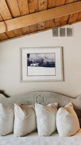 Chama Trails Motel - photo 24