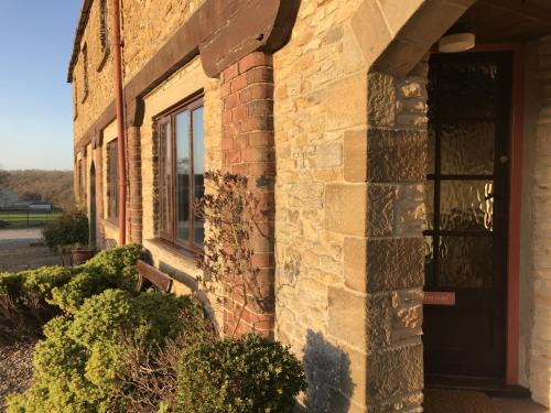 Phlomis in York, United Kingdom