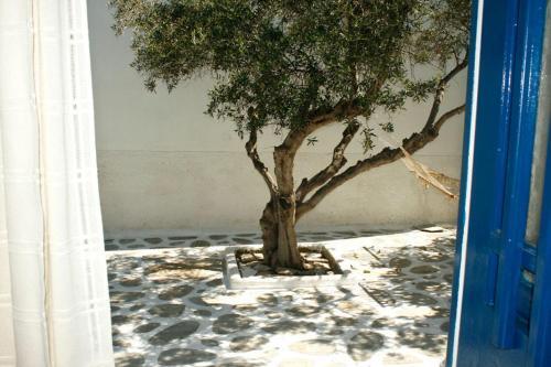 Yiannis Studios — Paros — photo 2