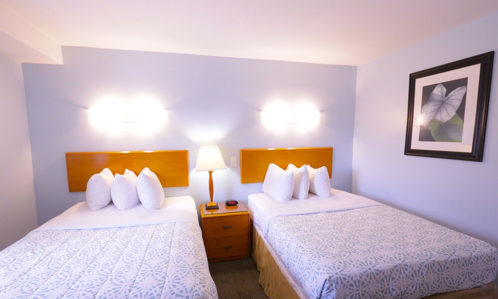 Chateau Suites - photo 21