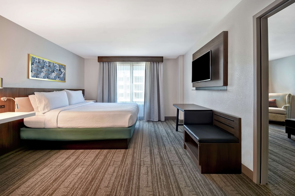 Hilton Garden Inn Houston Galleria Area - photo 7