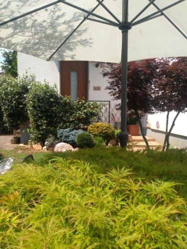 Le Betulle 17893954 — Zanica