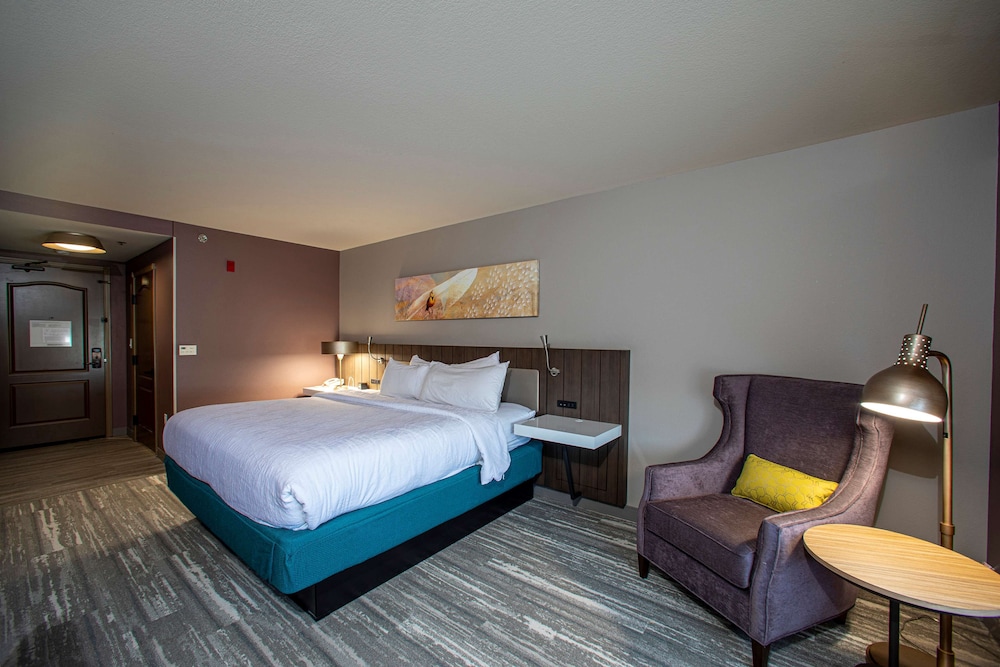 Hilton Garden Inn Rapid City - photo 15