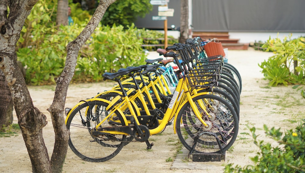 פעילויות וכושר