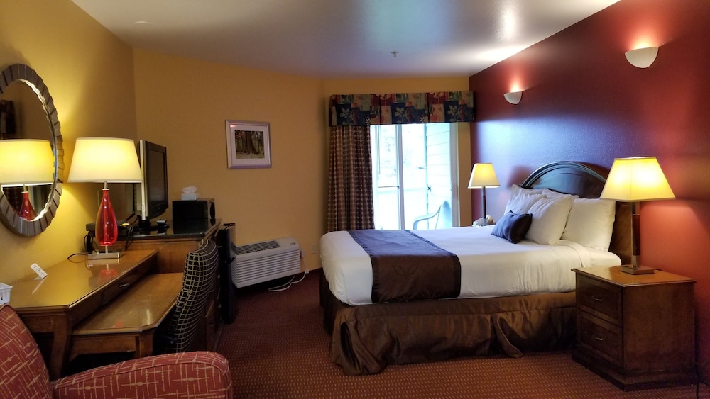 The Dew Drop Inn Motel - photo 31