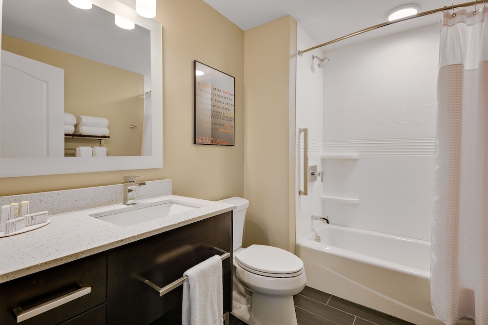 TownePlace Suites by Marriott Detroit Allen Park - photo 26