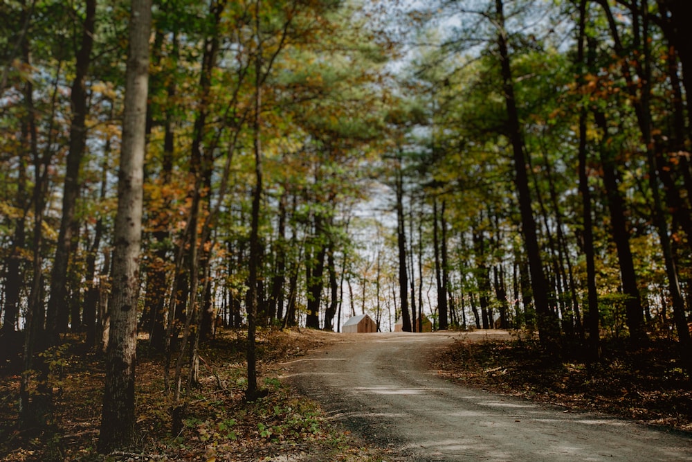 Gather Greene — hotel in Coxsackie