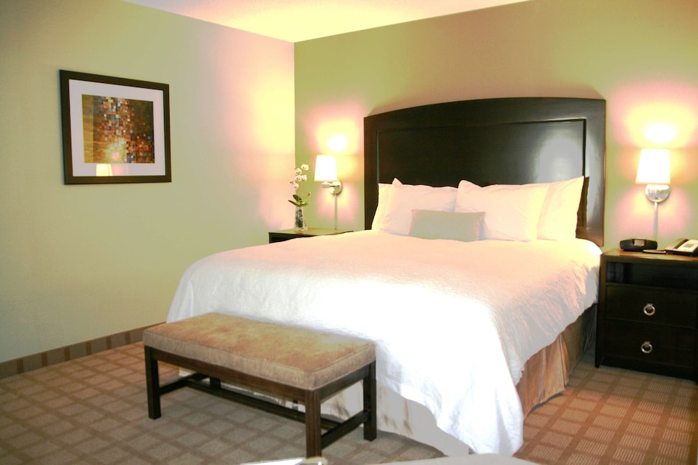 Hampton Inn & Suites Detroit Canton - photo 34
