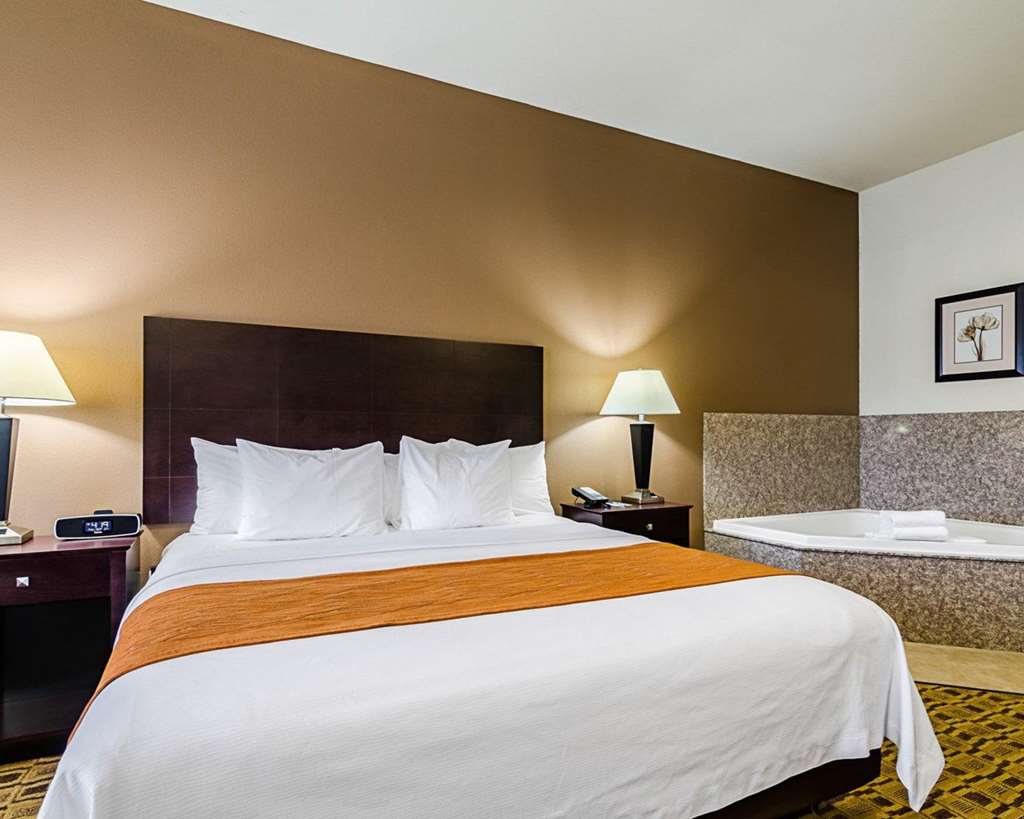 Comfort Inn & Suites Lawrence University Area - photo 23