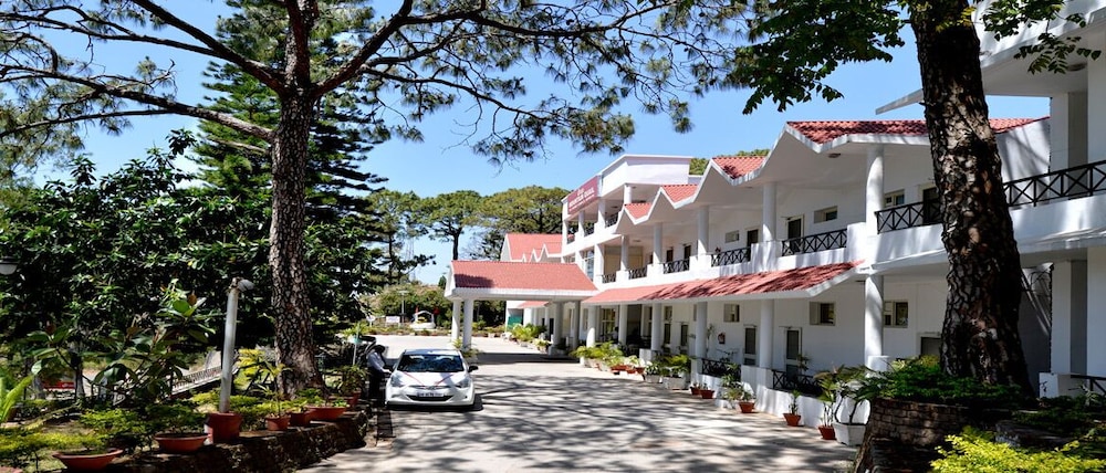 Mountain Quail Morni in Panchkula, India