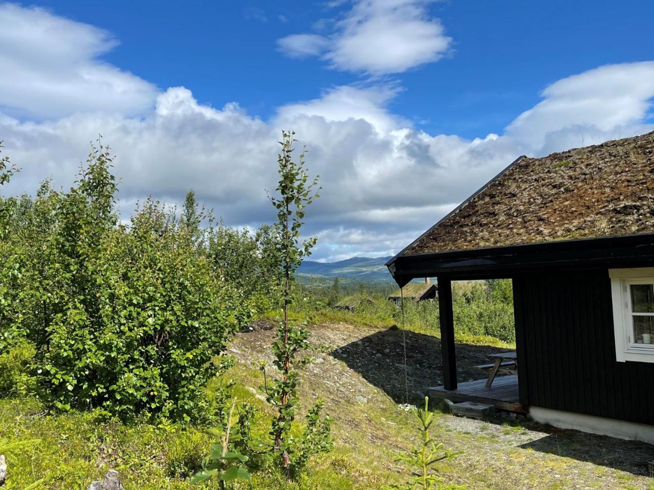 Linnaeus 6 Person Cabin — 4-Star Luxury Hotel in Al, Norway