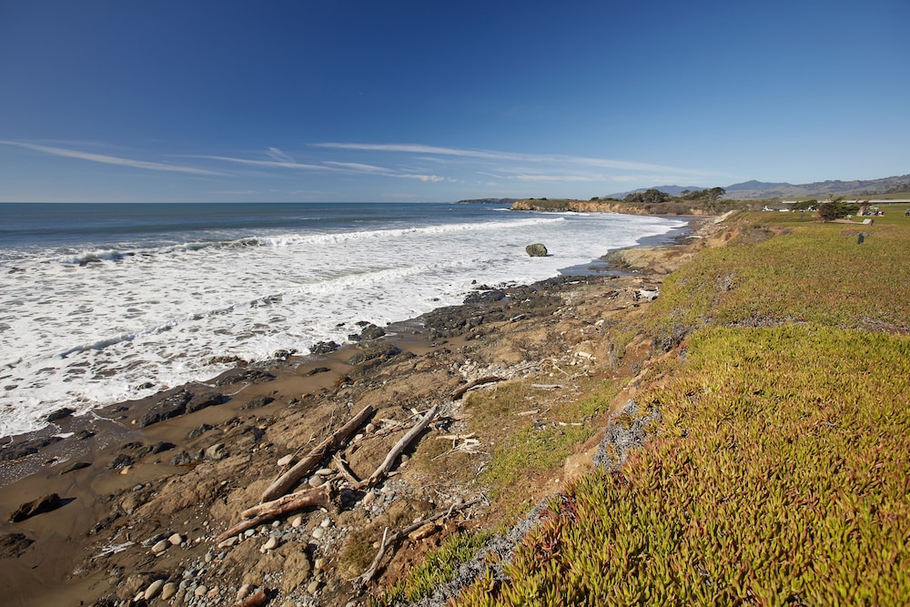 Cavalier Oceanfront Resort - photo 45