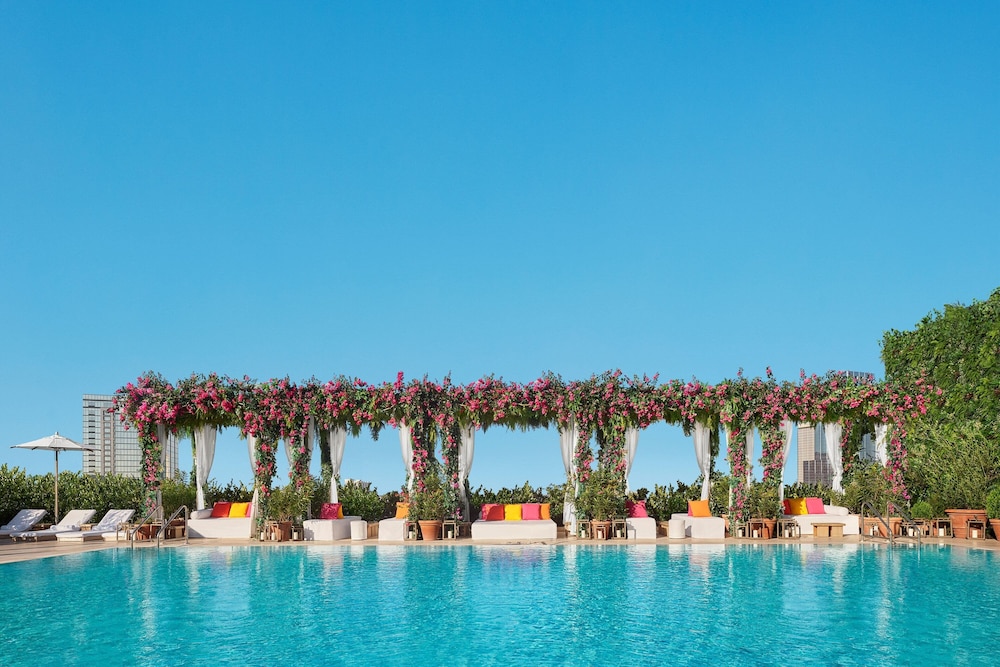 The Tampa Edition - featured photo