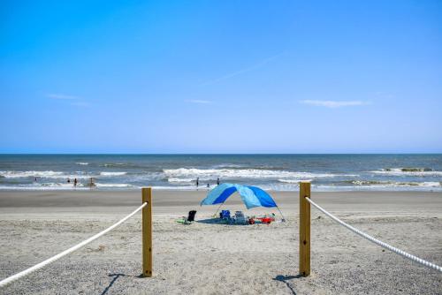 A Pirate's Paradise by Oak Island Accommodations - photo 16