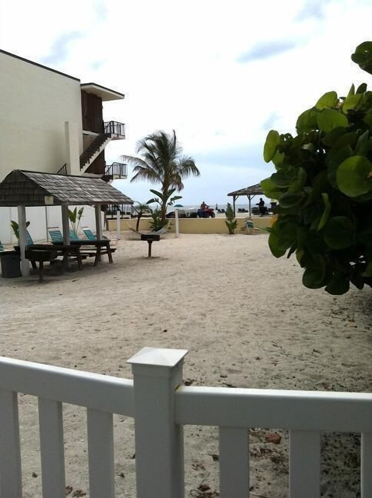 Coquina On The Beach - photo 57