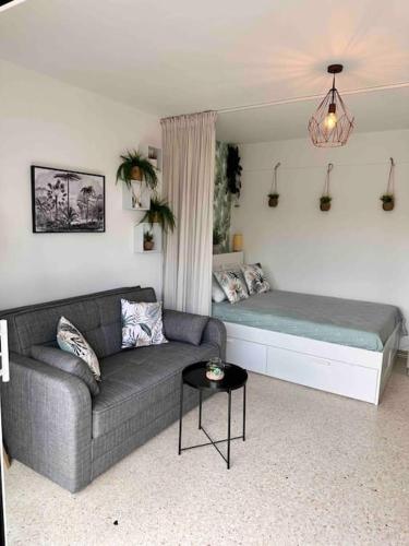 Orangers Bord de Mer Studio Cosy 4 Personnes