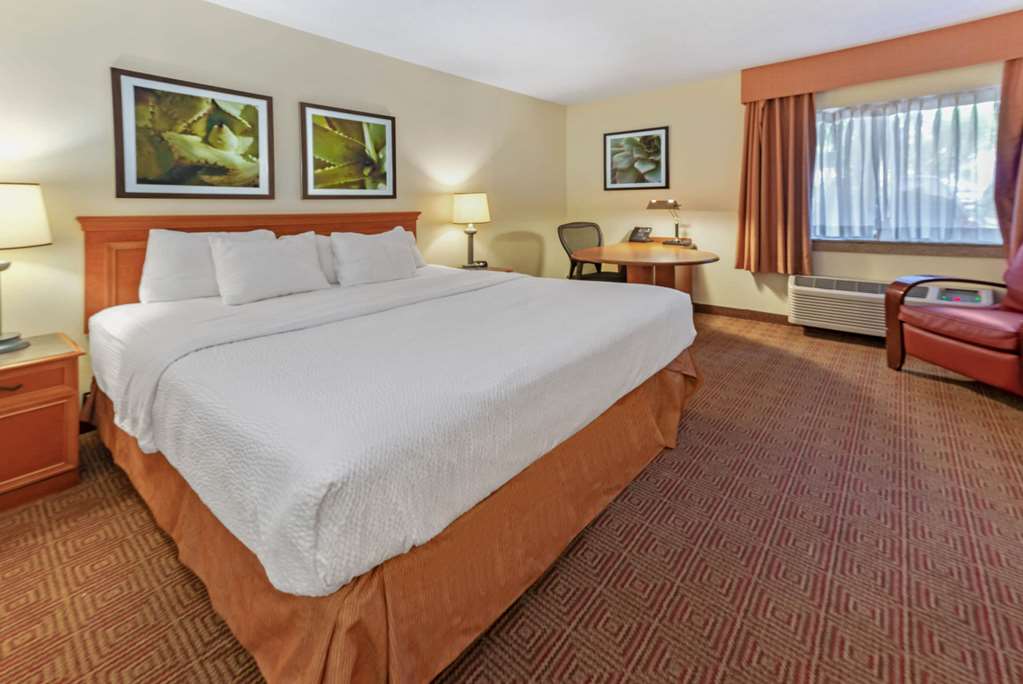 La Quinta Inn & Suites by Wyndham Tampa Brandon West - photo 24
