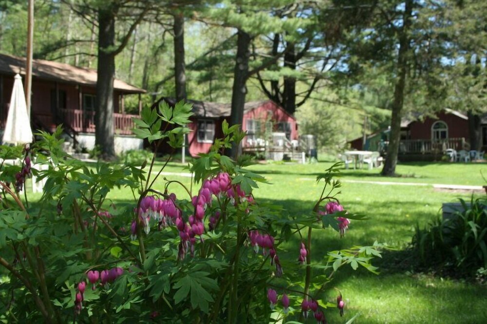 Silver Spruce Resort in Wisconsin Dells, United States