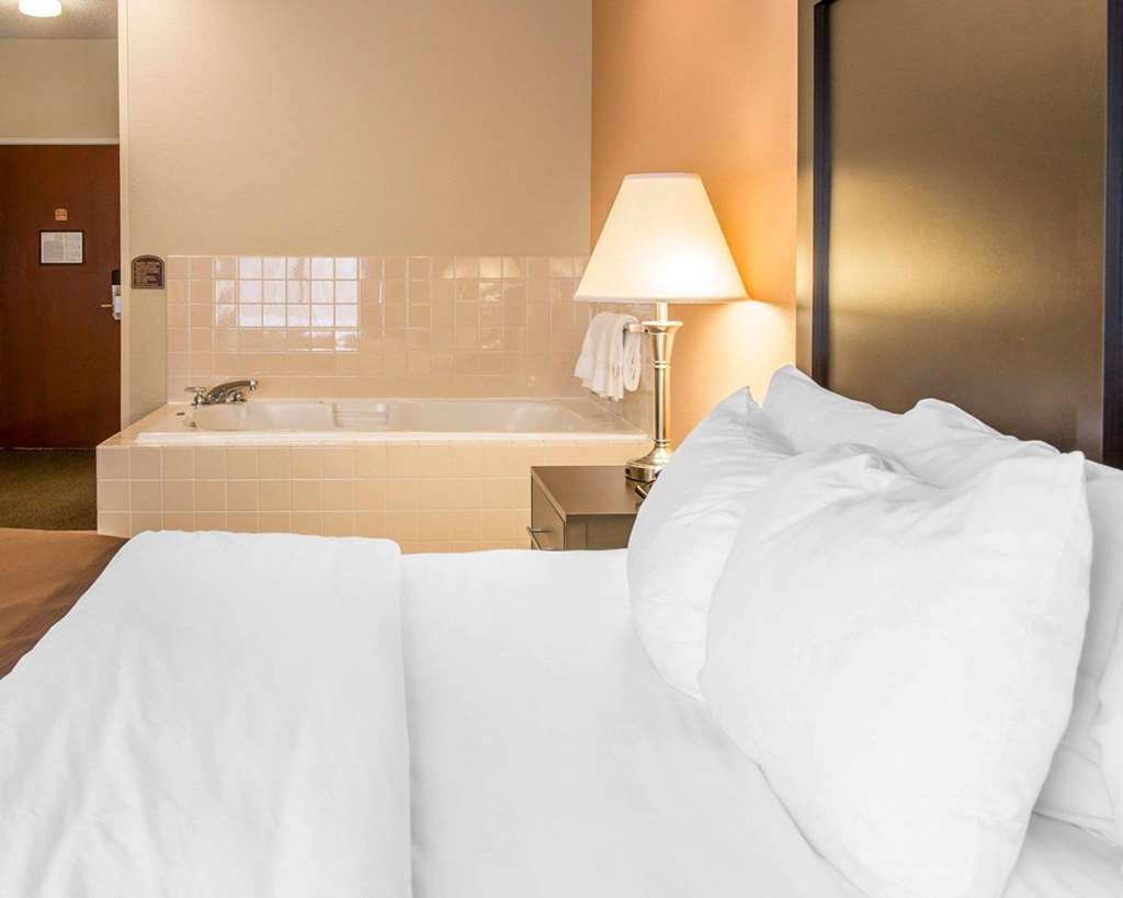 Quality Inn & Suites Niles - photo 58