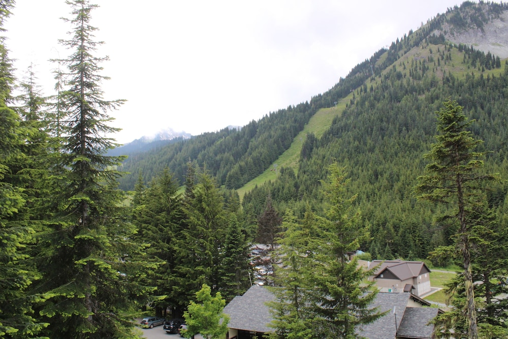 Crystal Chalets Condominiums at Crystal Mountain Ski Resort - photo 185