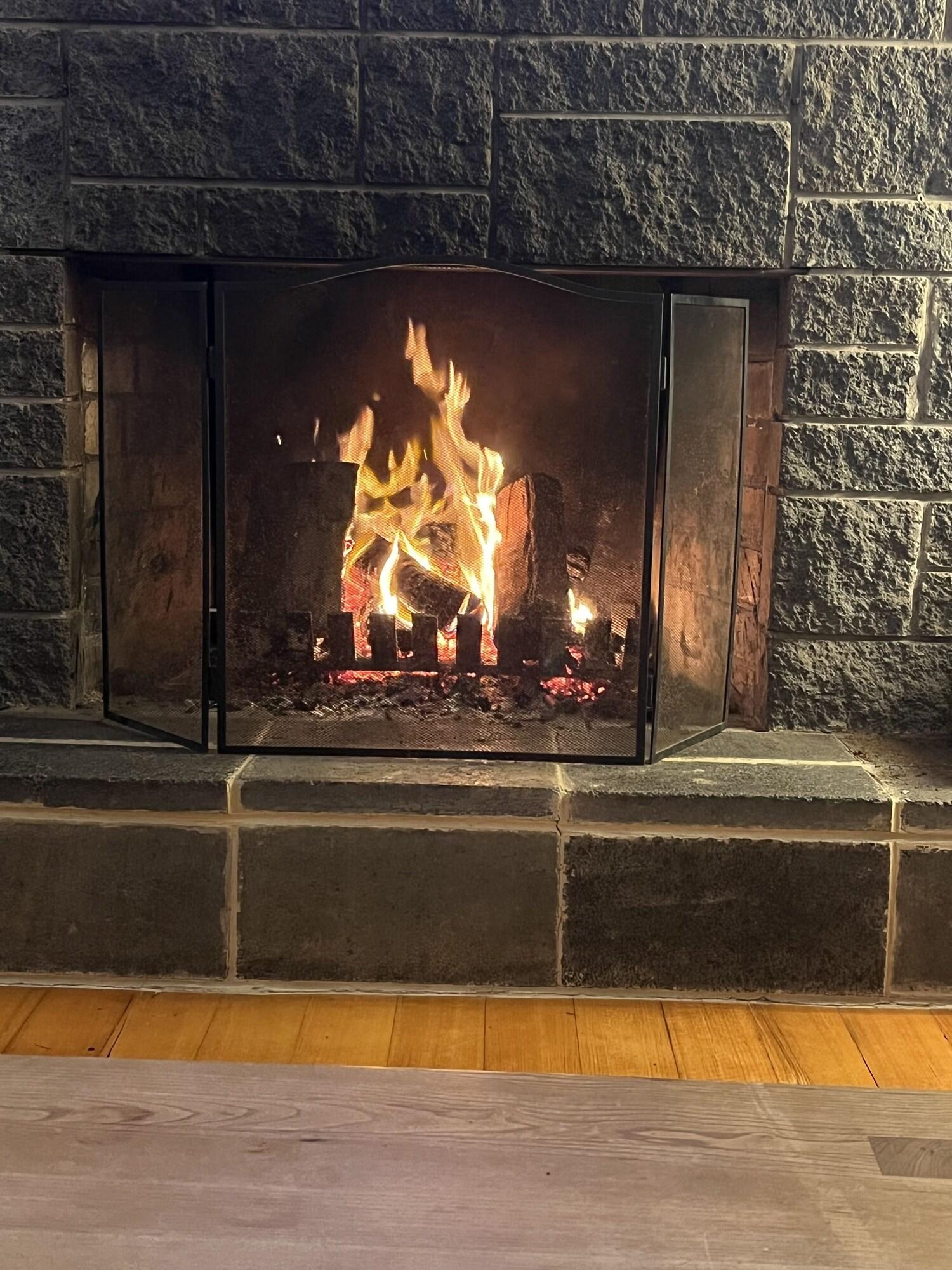 Tree Top Getaway in Anglesea, Australia