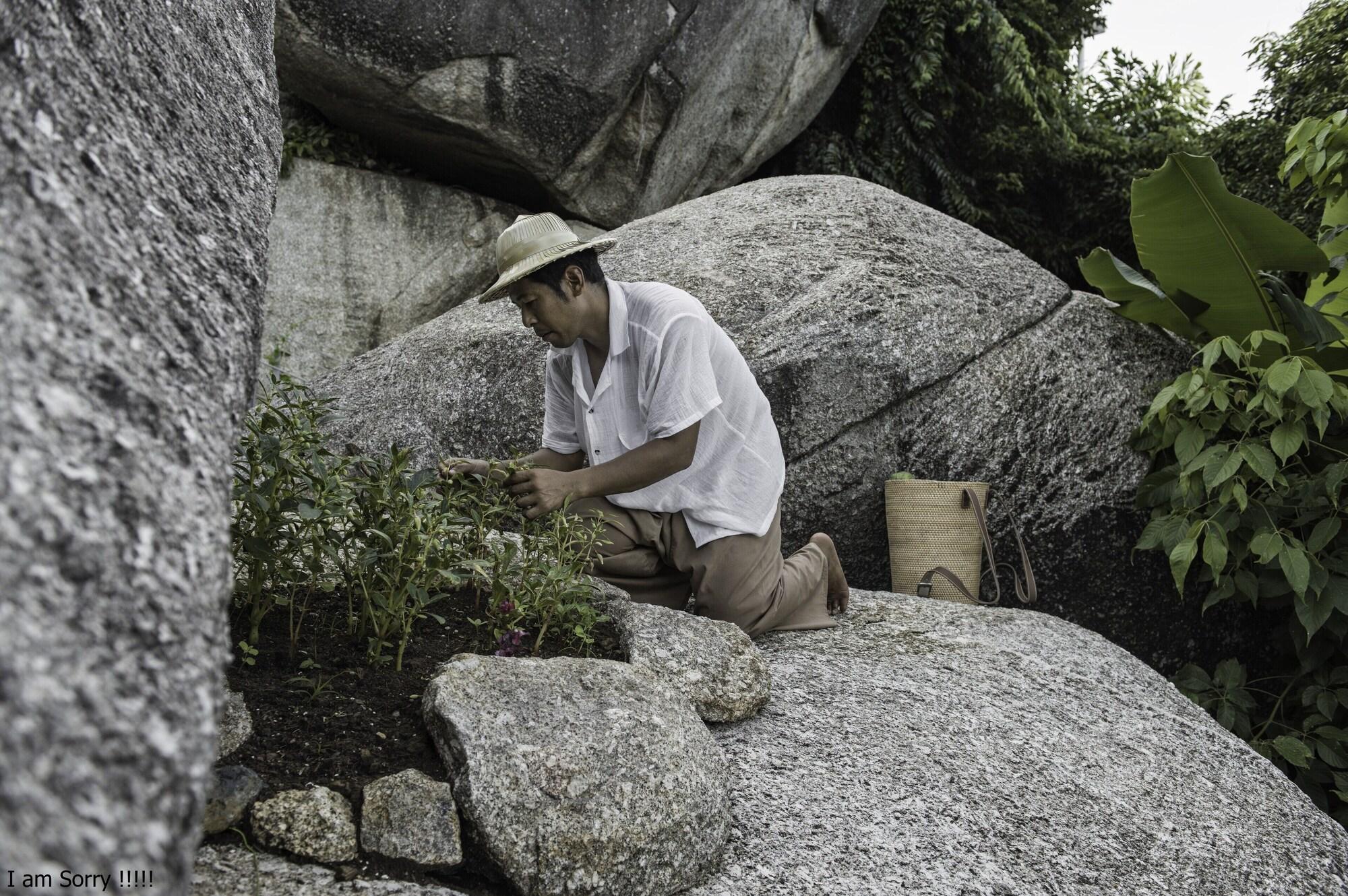 Kapuhala in Koh Samui, Thailand