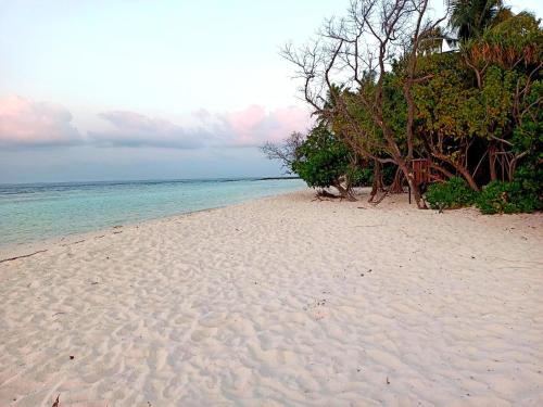 Dhoadhi Beach Maldives - last minute hotel in Unknown City