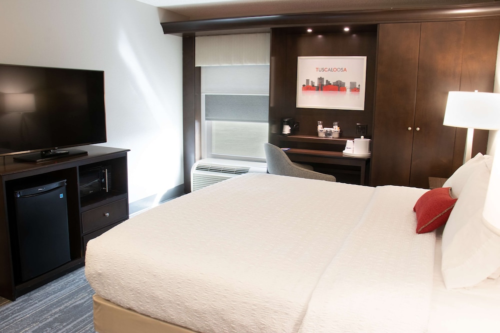 Hampton Inn Tuscaloosa University - photo 7