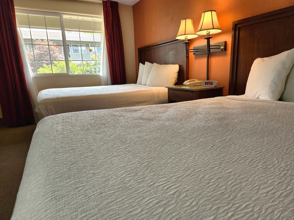 Village Inn Springfield - photo 25