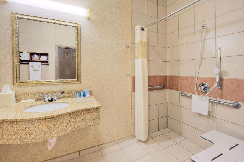 Hampton Inn & Suites Palmdale - photo 70