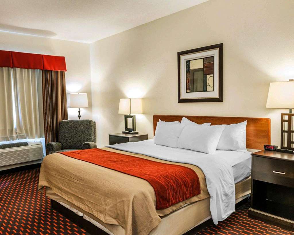 Comfort Inn Avon Indianapolis West - photo 9
