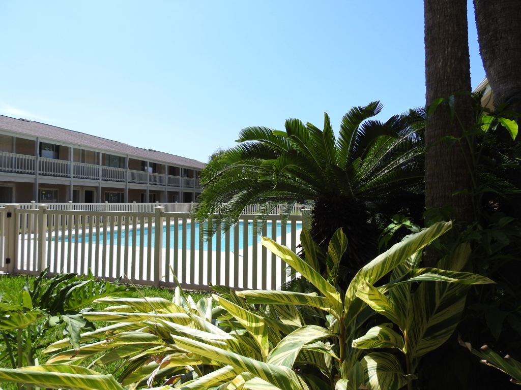Courtyard #123 Port Aransas Texas United States - photo 12