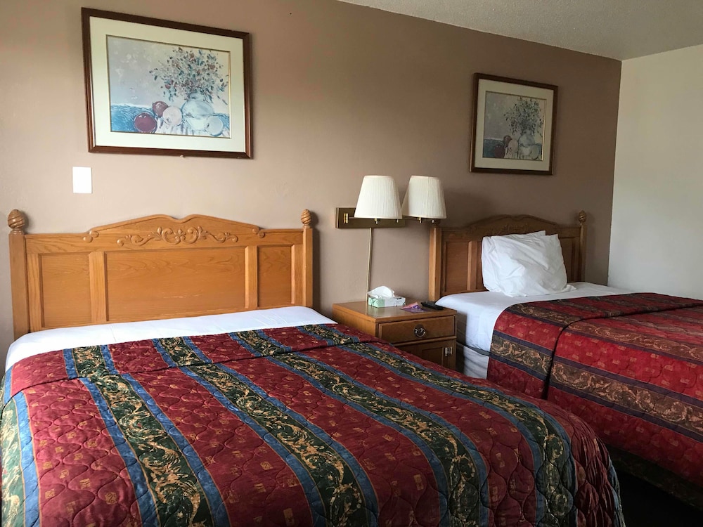 99 Palms Inn & Suites - photo 31