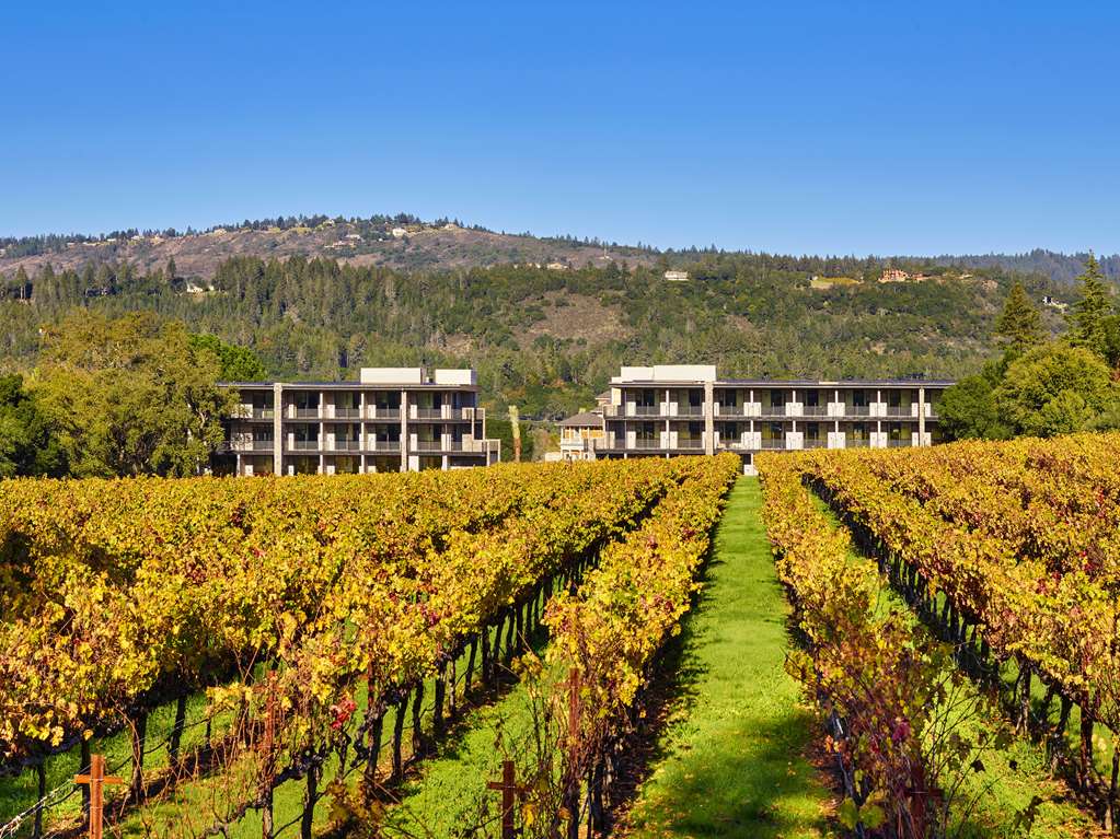 Alila Napa Valley a Hyatt Luxury Resort - photo 27
