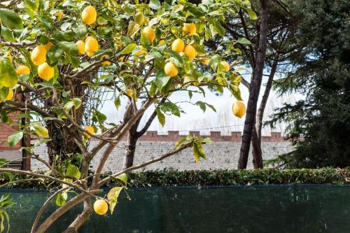 Lemon House Green — 4-Star Luxury Hotel in Pisa, Italy