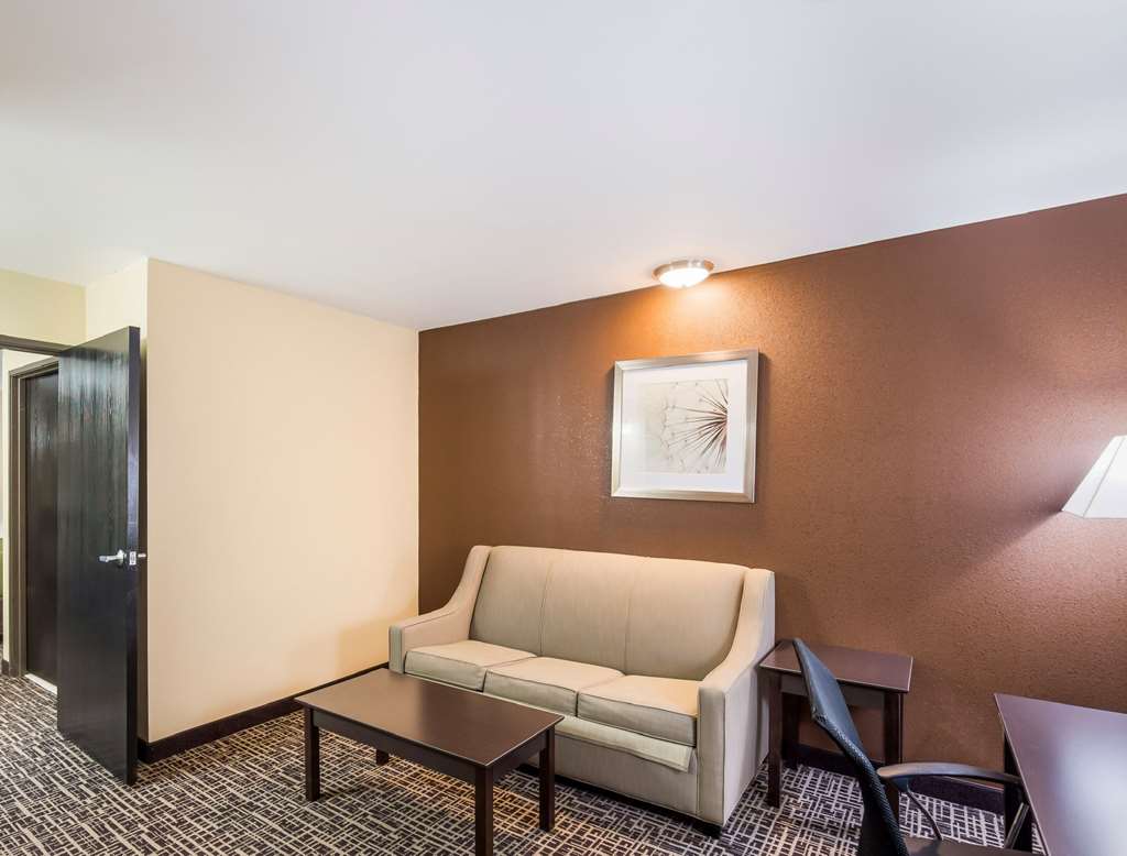 Quality Inn & Suites Caseyville St. Louis - photo 21