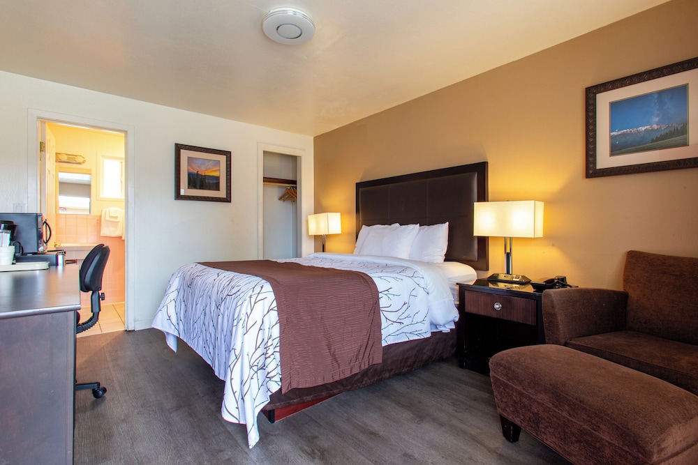 Uptown Inn - photo 7