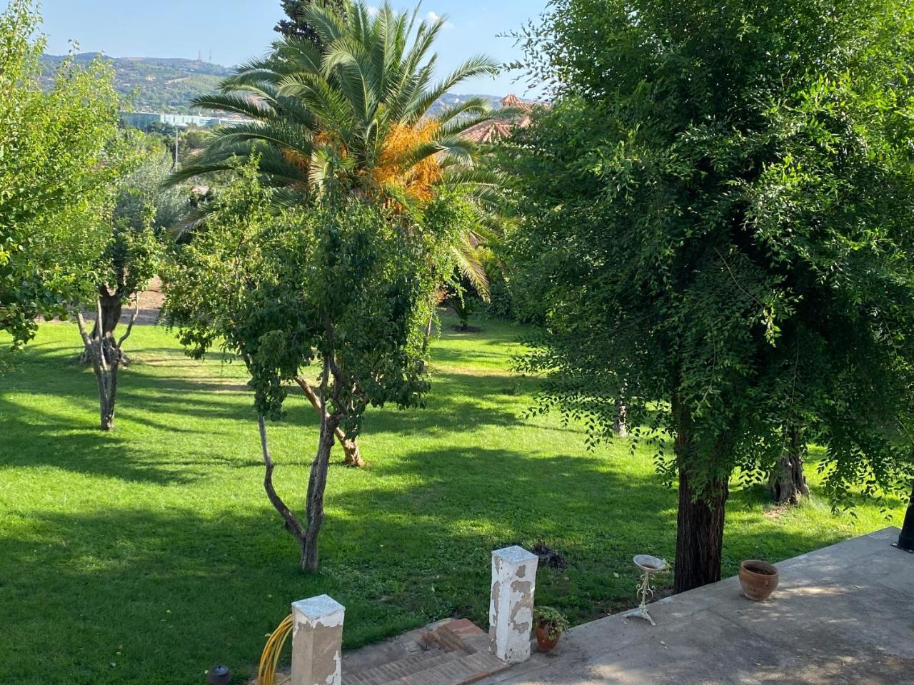 Suena Toledo in Toledo, Spain