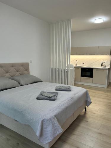 Ar Queen Island — 4-Star Luxury Hotel in Kosice, Slovakia