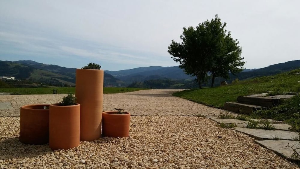 Izal Landetxea — Bergara